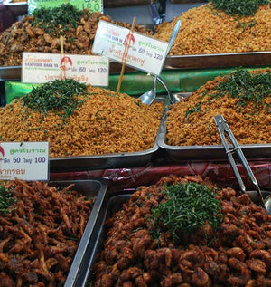 Dried Shrimp from Or Tor Kor Market Bangkok